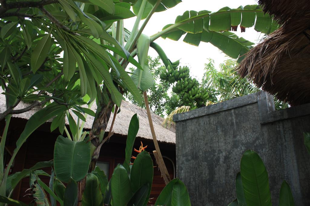 Guava Garden Hotel Gili Trawangan Kültér fotó